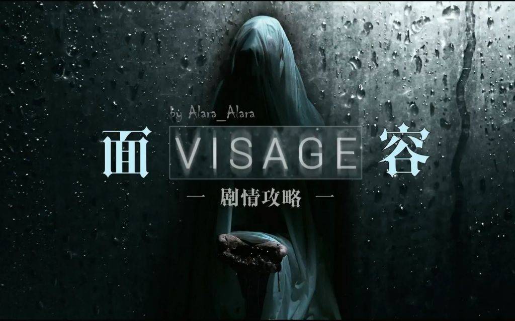面容/Visage