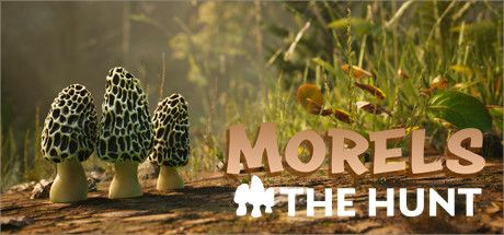 羊肚菌：狩猎/Morels：The Hunt