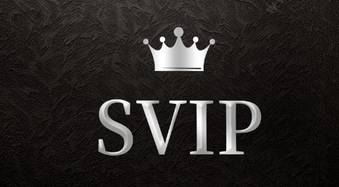 可在线购买本站永久SVIP，支持批发